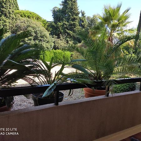 Residence Les Palmiers Ница Екстериор снимка
