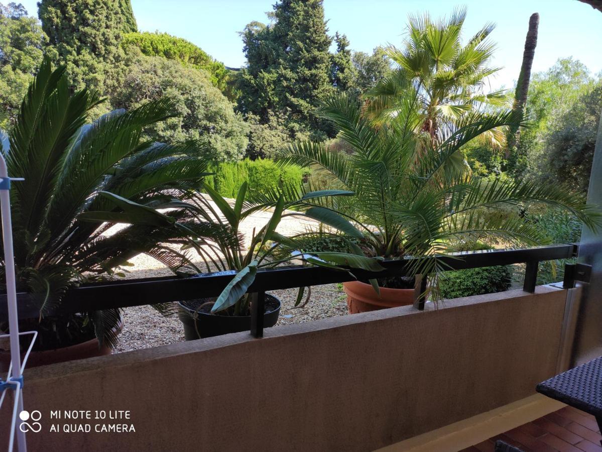 Residence Les Palmiers Ница Екстериор снимка